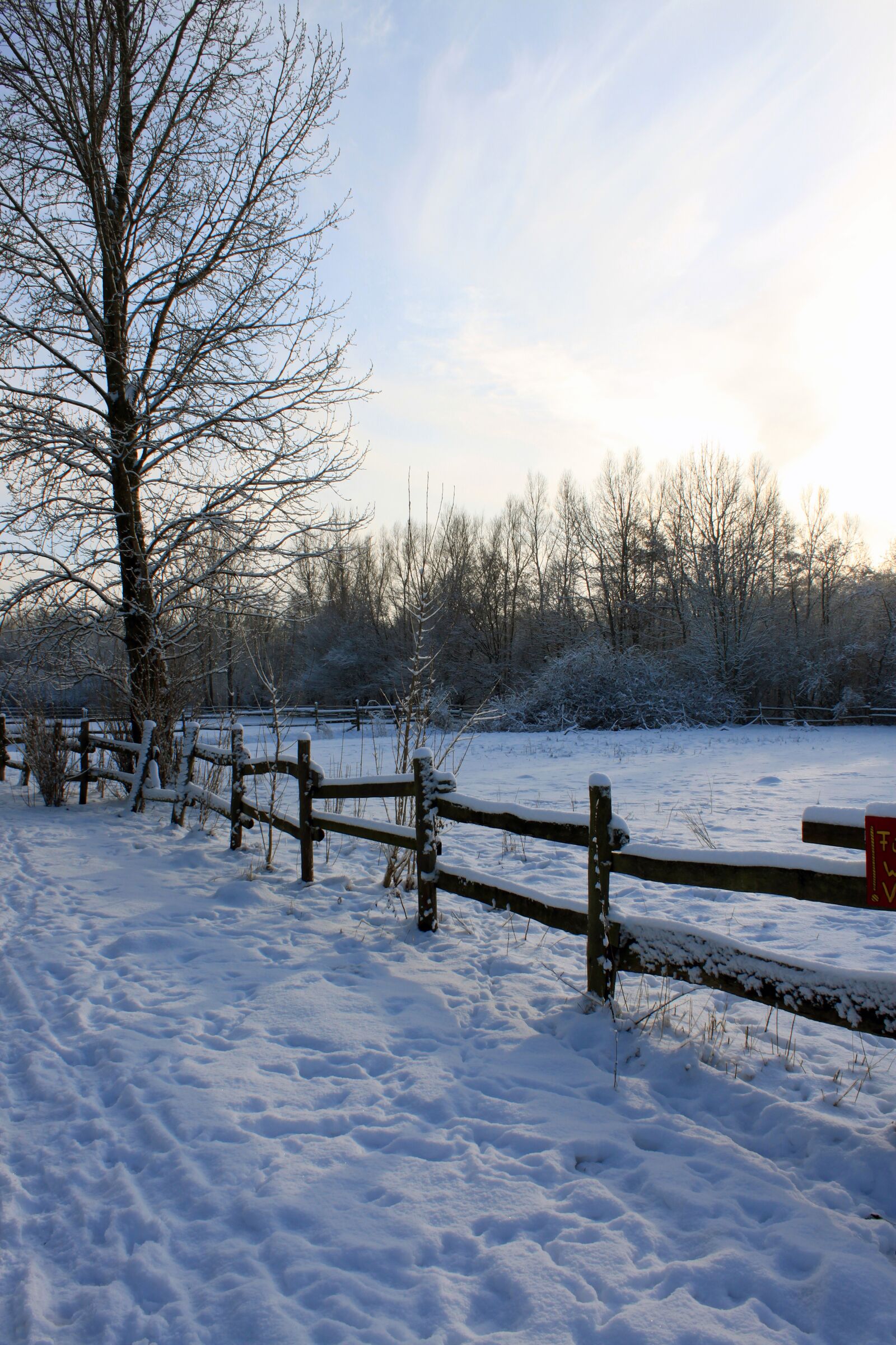 Canon EOS 500D (EOS Rebel T1i / EOS Kiss X3) sample photo. Winter, landscape, snow photography