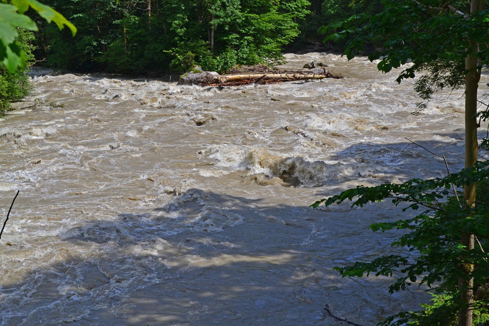 Nikon D3100 sample photo. Enns, austria, river photography