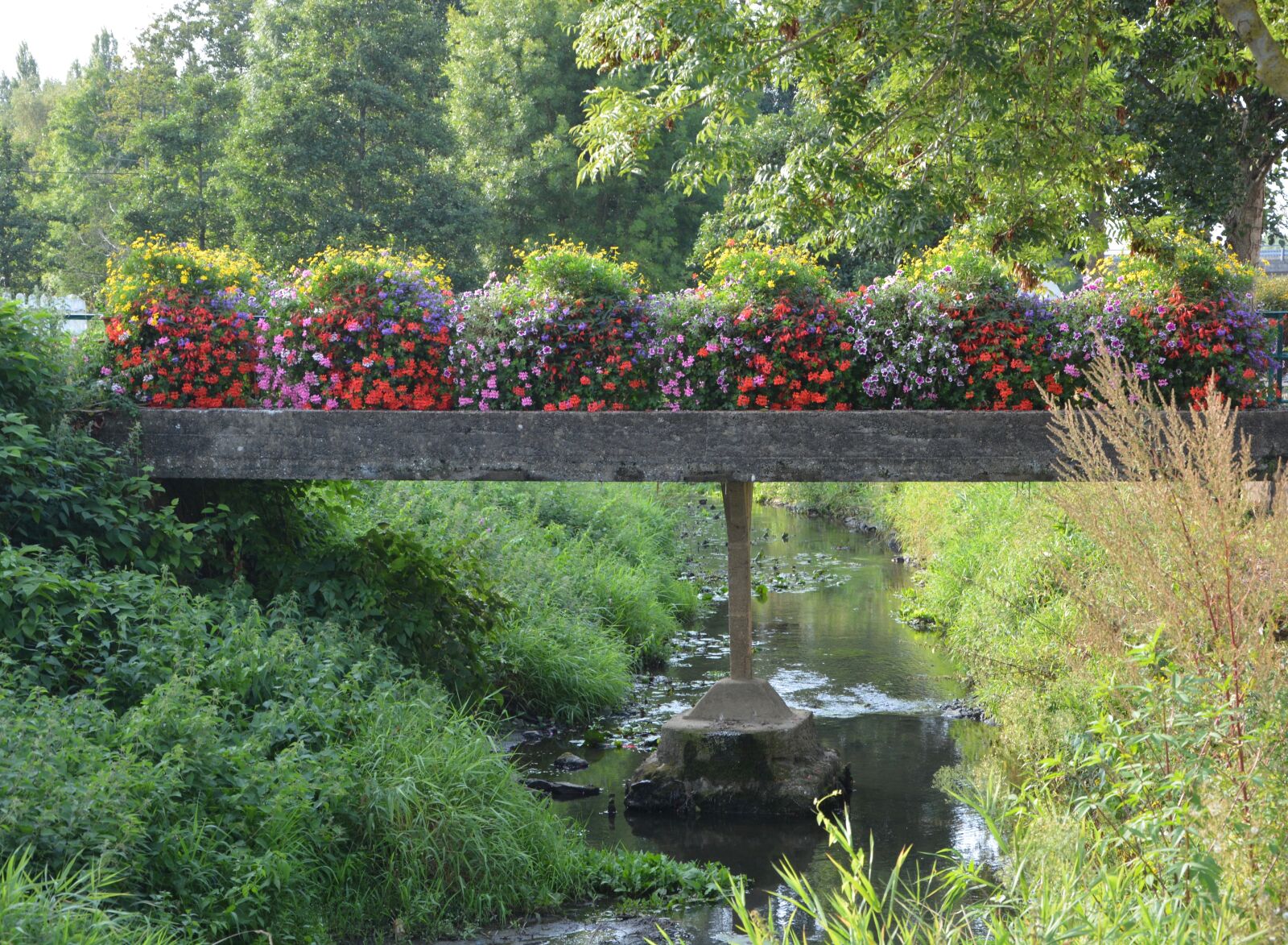 Nikon D5200 sample photo. Bridge, bridge fleuri, river photography