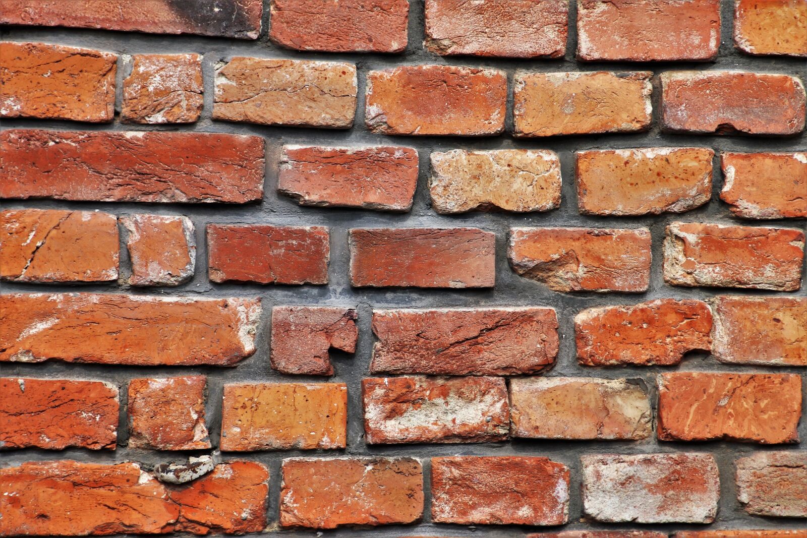 Canon EOS 80D sample photo. Lake dusia, brick, wall photography
