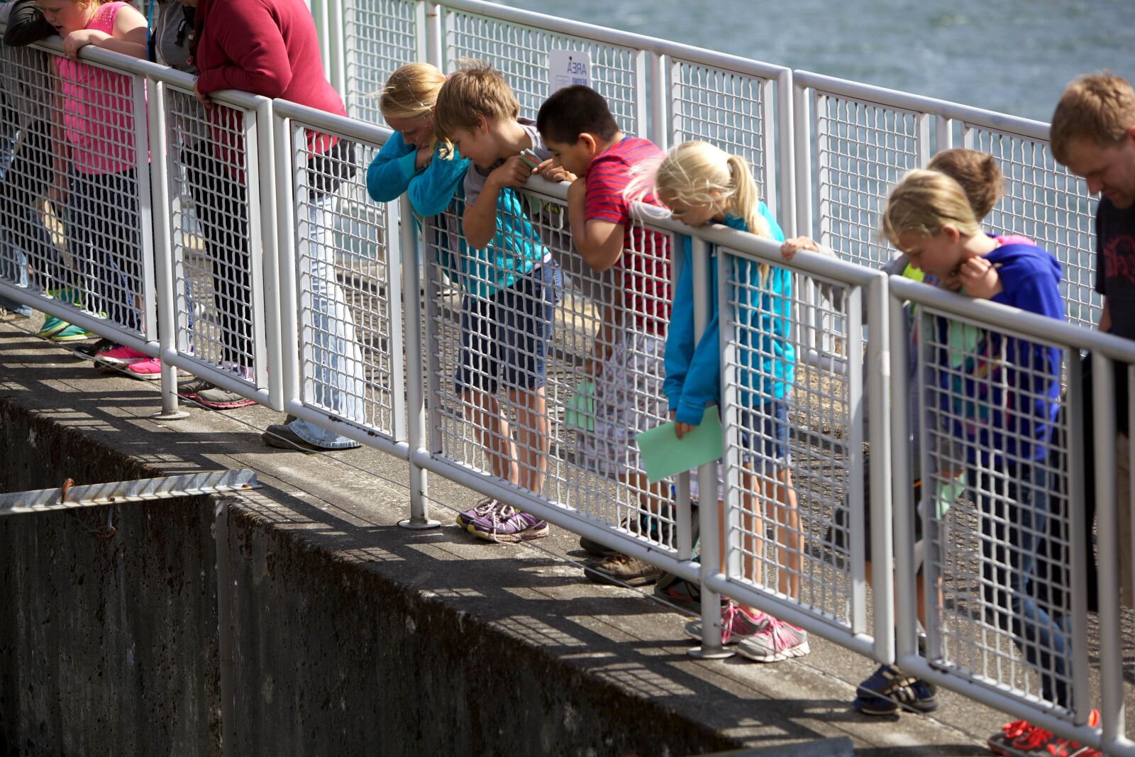 Canon EOS 5D Mark II sample photo. Children, learning, fish, hatchery photography