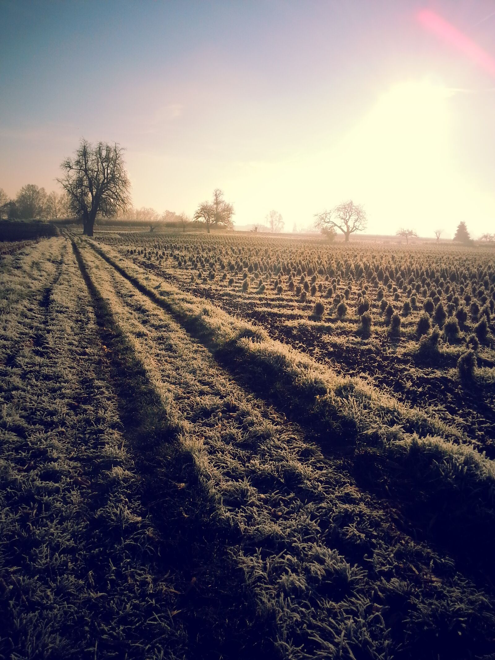 Samsung Galaxy S3 sample photo. Nature, landscape, winter photography