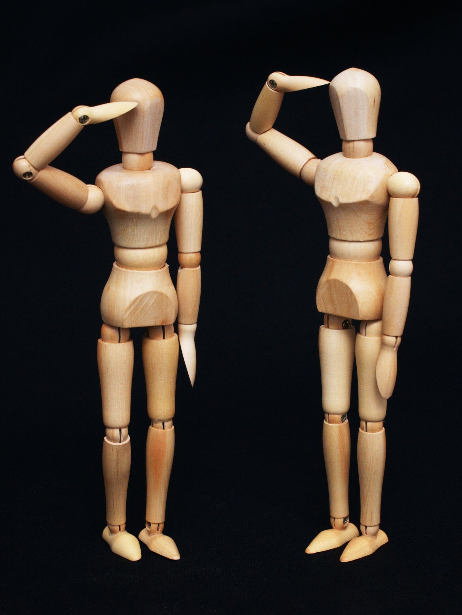 Nikon D90 sample photo. Display dummy, human, wood photography