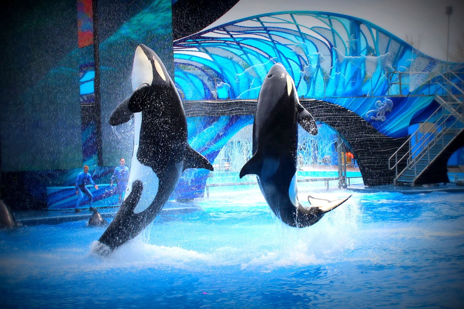 Canon EOS 1200D (EOS Rebel T5 / EOS Kiss X70 / EOS Hi) sample photo. Sea world, killer whales photography