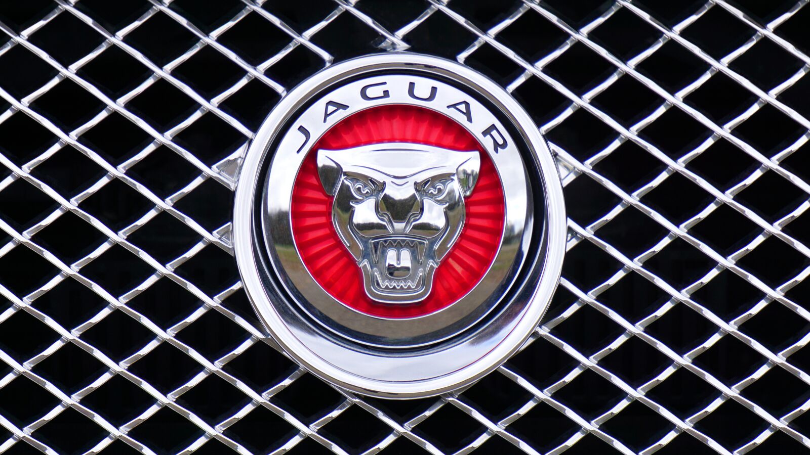 Sony E 55-210mm F4.5-6.3 OSS sample photo. Jaguar, logo, emblem photography