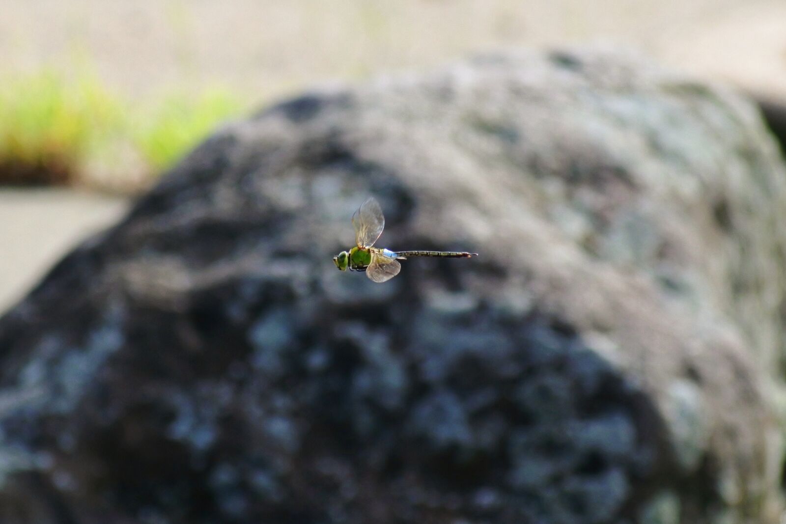 VR 70-300mm f/4.5-6.3G sample photo. Natural, landscape, pond photography