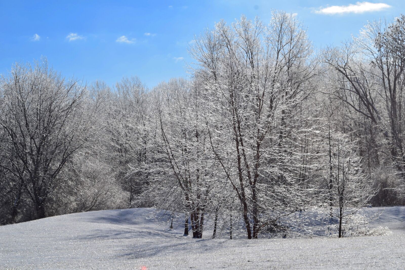 Nikon D3300 sample photo. Snow, winter, frost photography
