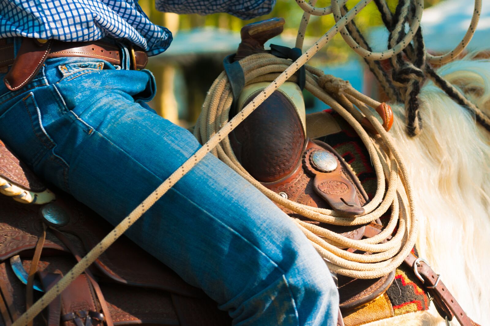 Nikon D300S sample photo. Horse, saddle, jumper photography