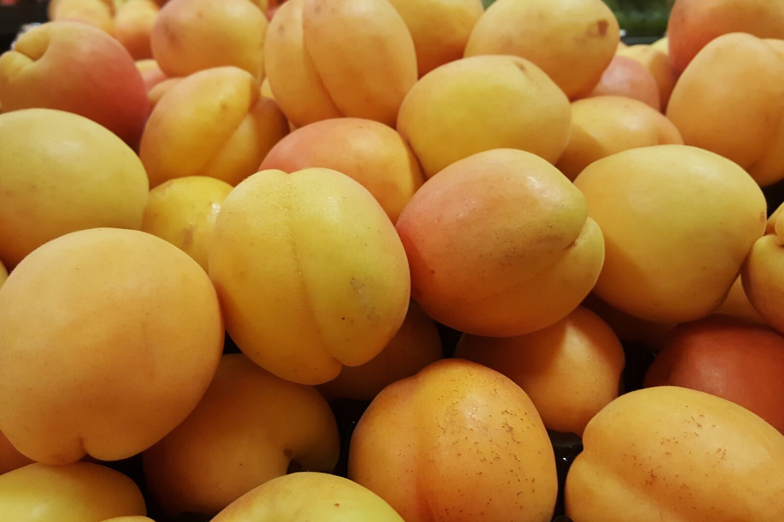 Samsung Galaxy Note5 sample photo. Apricots, fruit, stone fruit photography