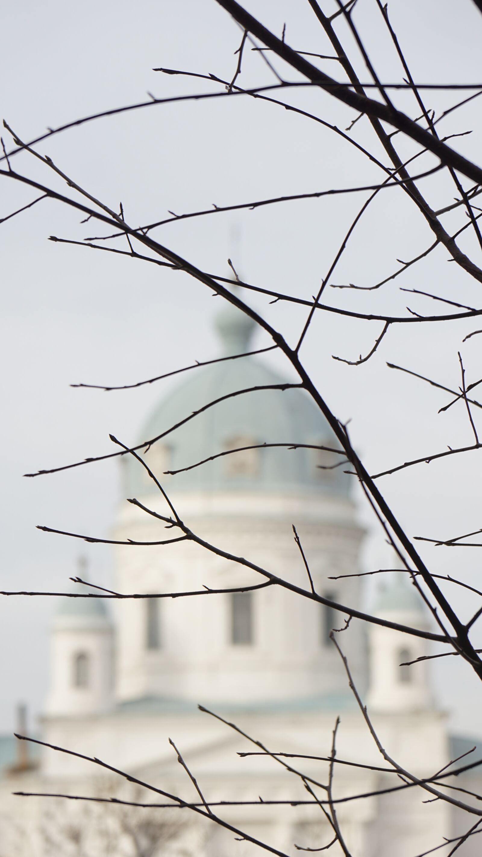 Sony a6000 + Sony Vario-Tessar T* E 16-70mm F4 ZA OSS sample photo. Branch, church, russia photography