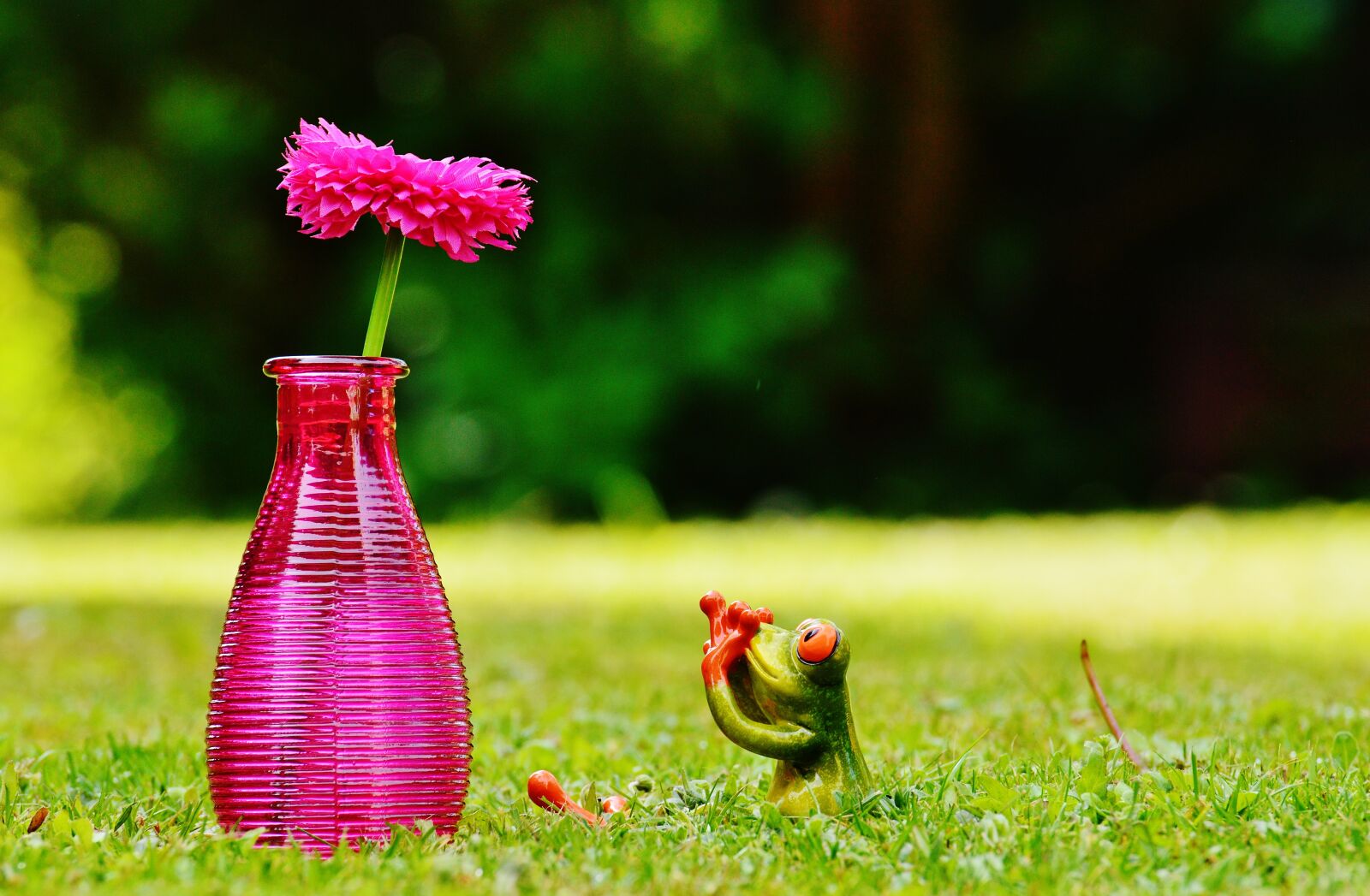 Nikon D3200 sample photo. Vase, flower, frog photography