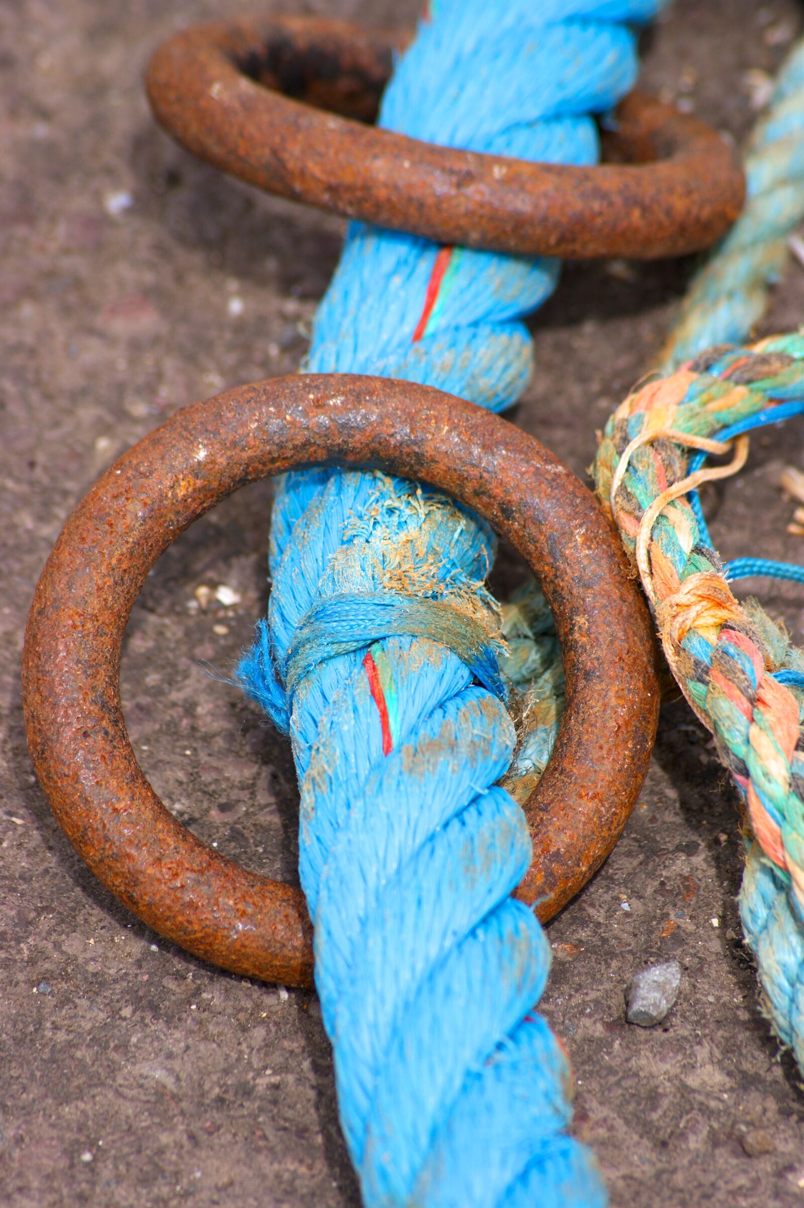 Sony Alpha DSLR-A350 sample photo. Dew, rope, twisted ropes photography