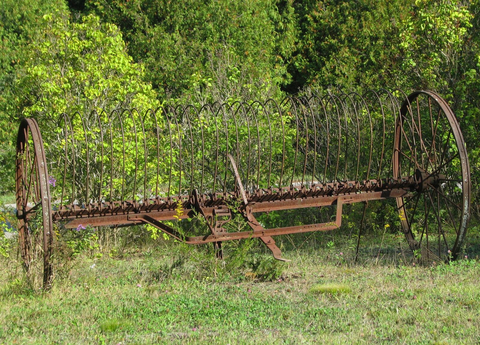 Canon POWERSHOT S5 IS sample photo. Antique hay rake, farm photography
