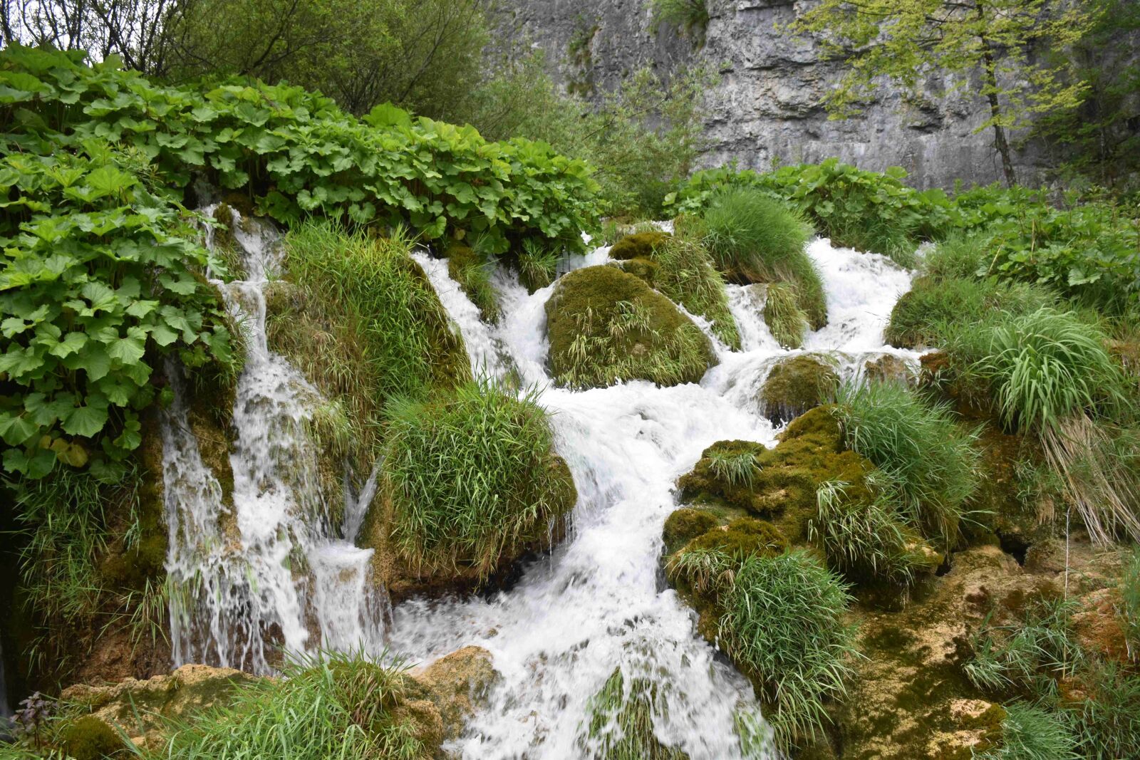 Nikon D5500 sample photo. Waterfall, rocks, nature photography