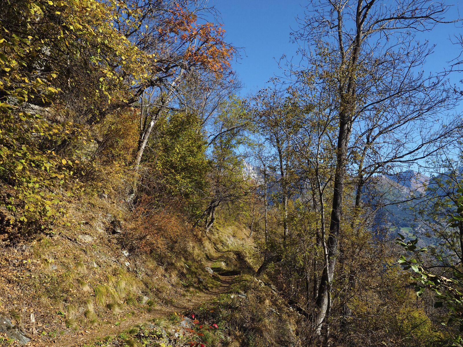 Olympus OM-D E-M1 + Olympus M.Zuiko Digital ED 12-40mm F2.8 Pro sample photo. Trail, mountain, hiking photography
