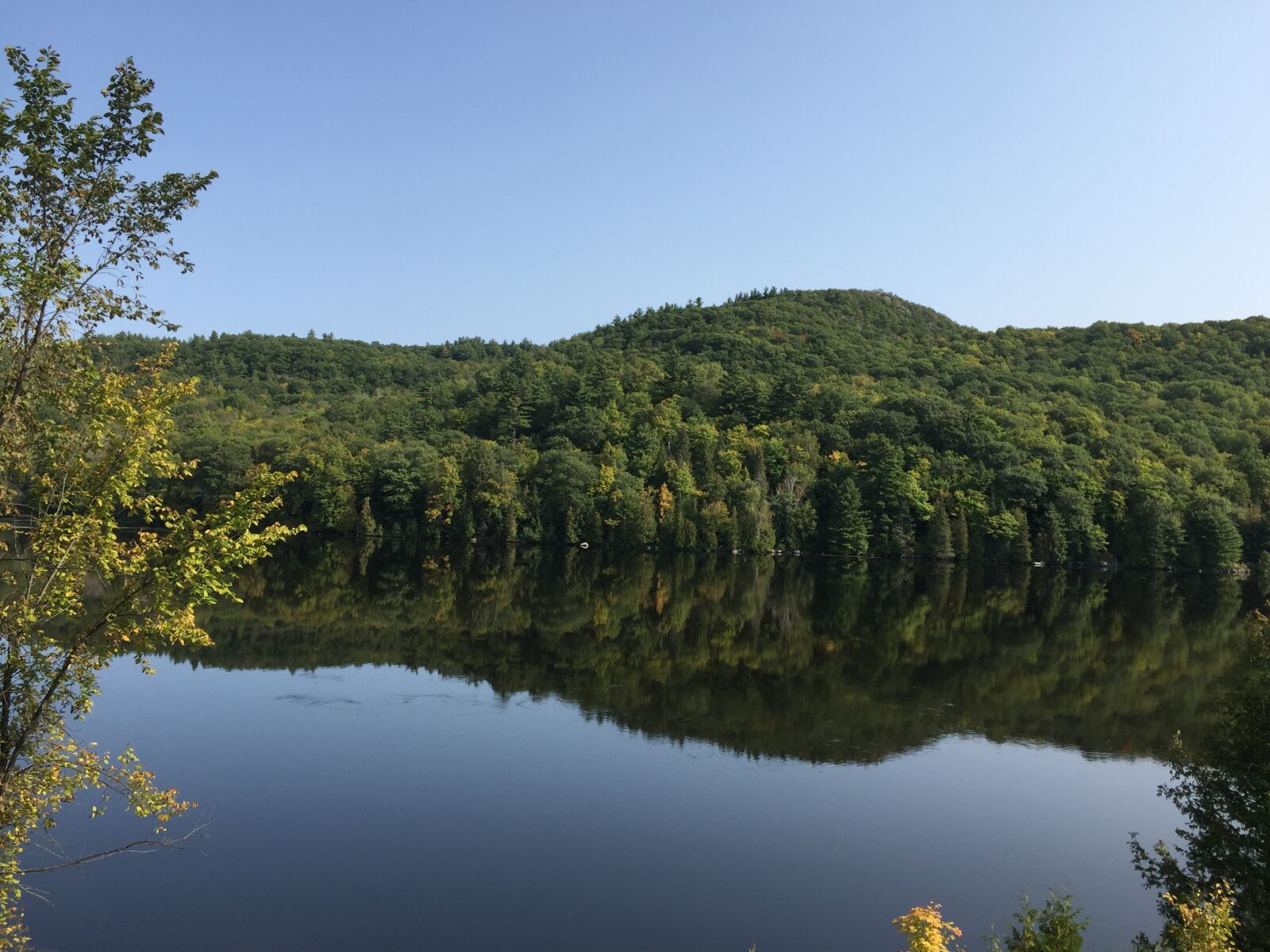 iPhone 6 Plus back camera 4.15mm f/2.2 sample photo. Gatineau river, path of photography
