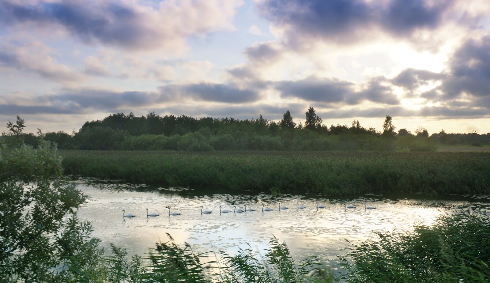 Sony Alpha NEX-5R sample photo. Partly cloudy, a flock photography