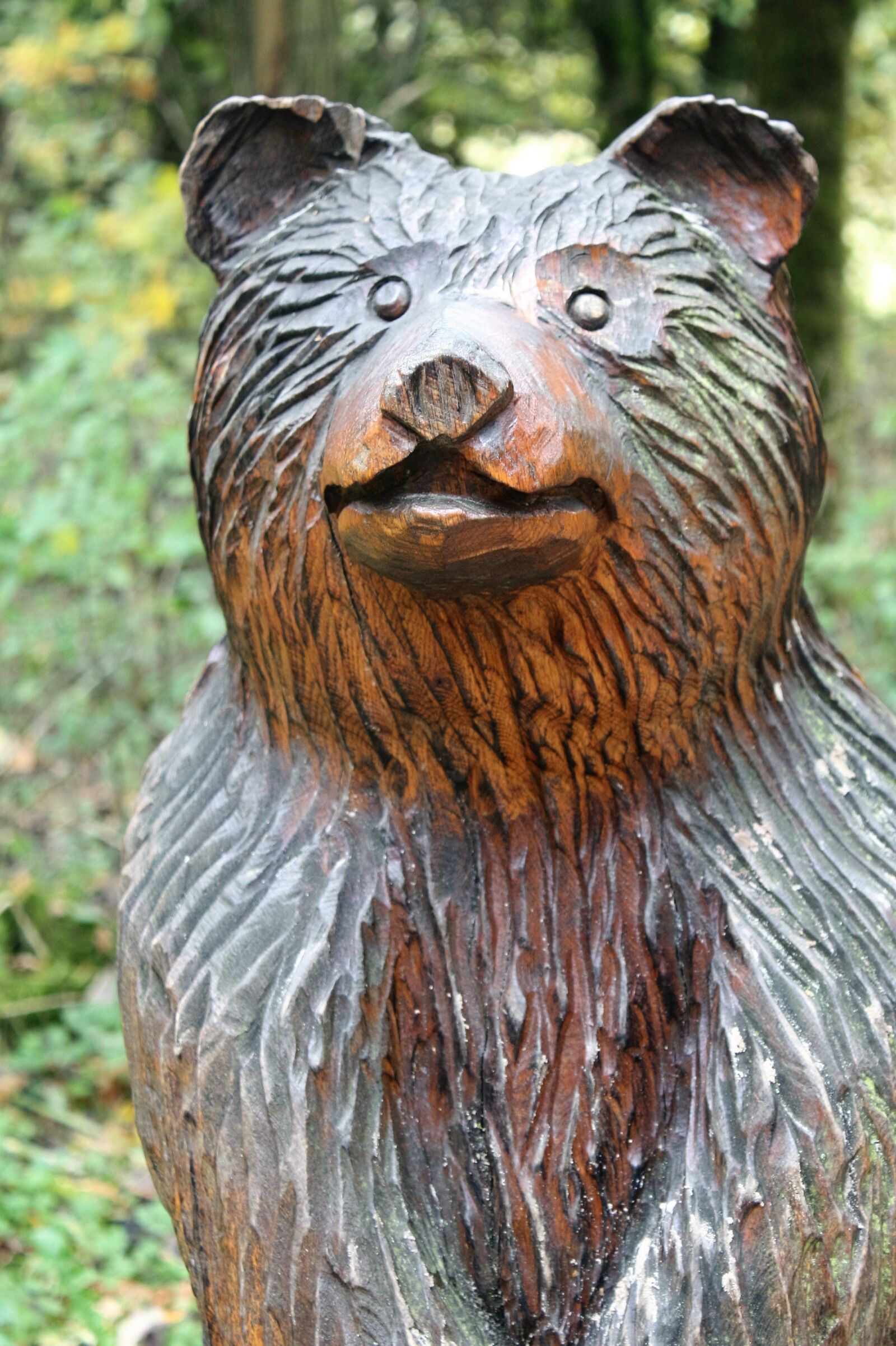 Canon EOS 450D (EOS Rebel XSi / EOS Kiss X2) sample photo. Bear, carving, sculpture photography