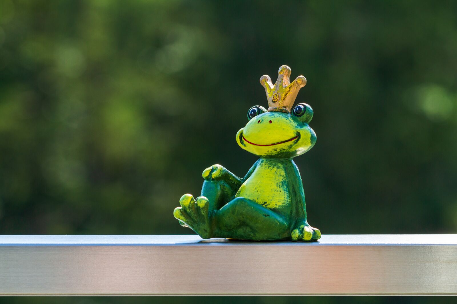 Canon EOS 7D sample photo. Frog, figure, prince photography