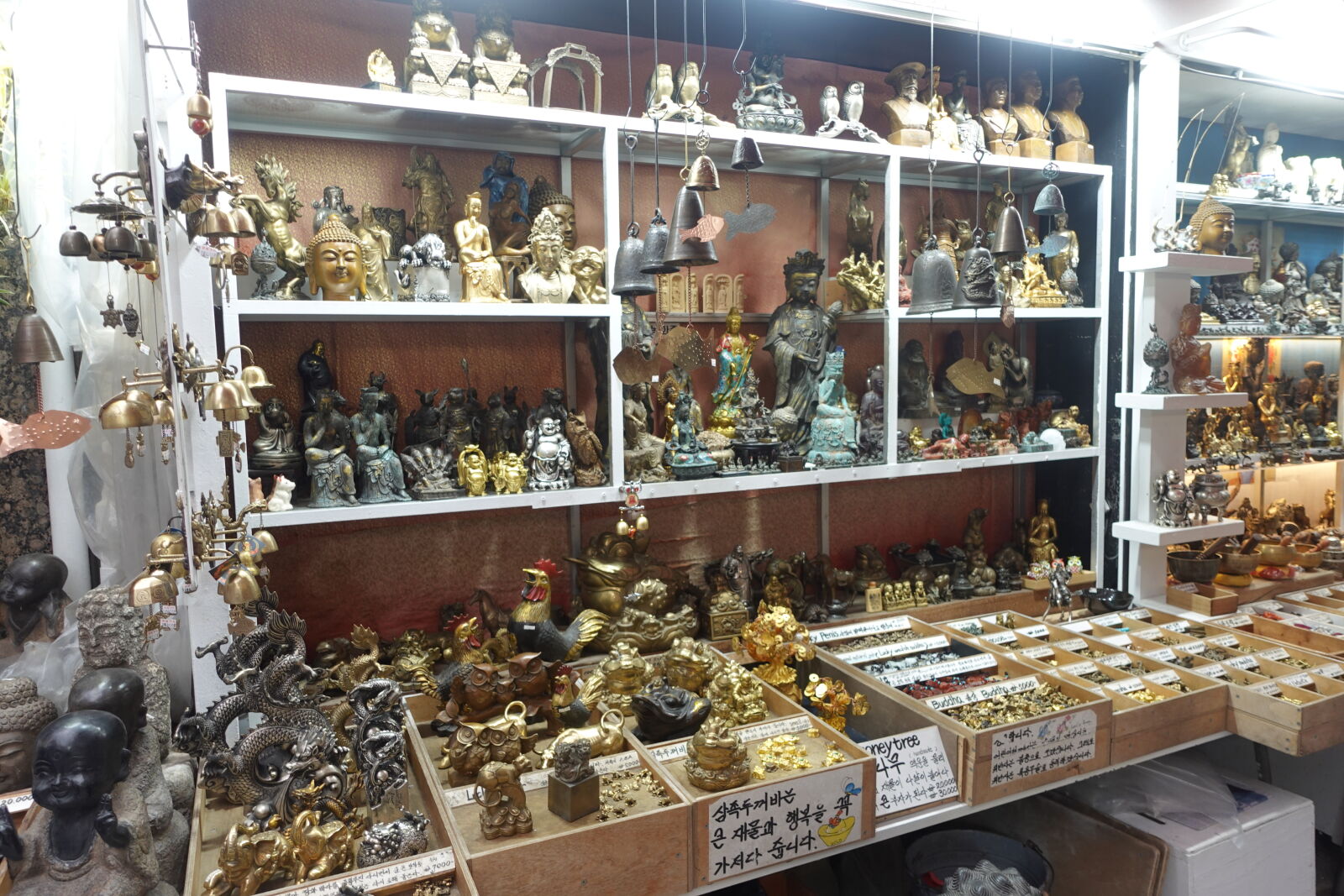 Sony ZV-1 sample photo