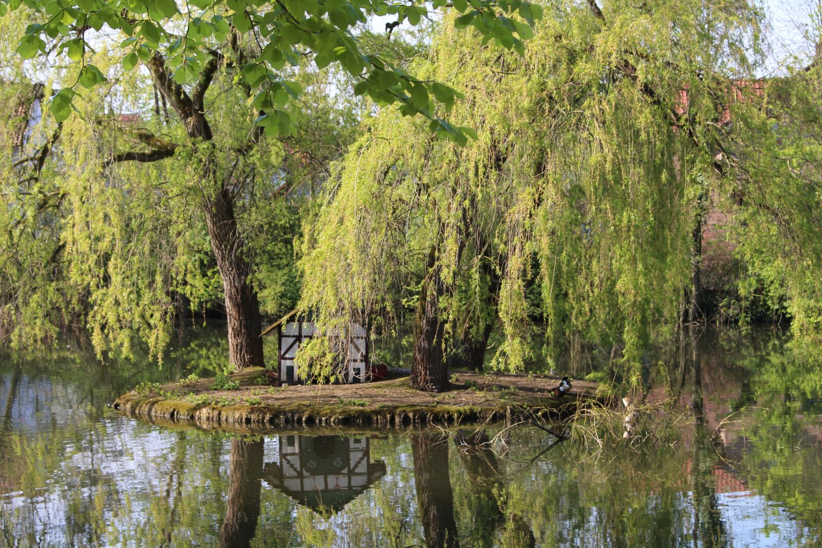 Canon EOS 700D (EOS Rebel T5i / EOS Kiss X7i) sample photo. Duck pond, spa garden photography