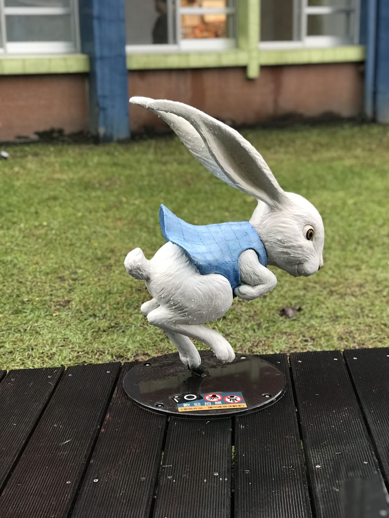 Apple iPhone 7 Plus sample photo. Yilan, taiwan, rabbit photography