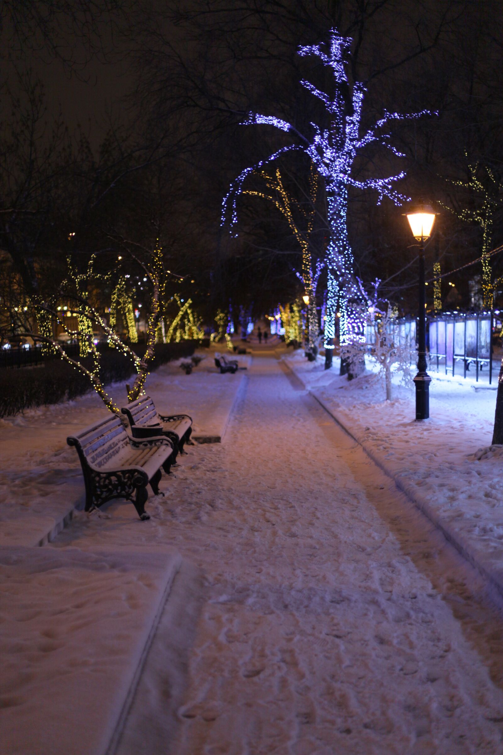 Canon EOS 5D Mark II sample photo. Park, winter, benches photography