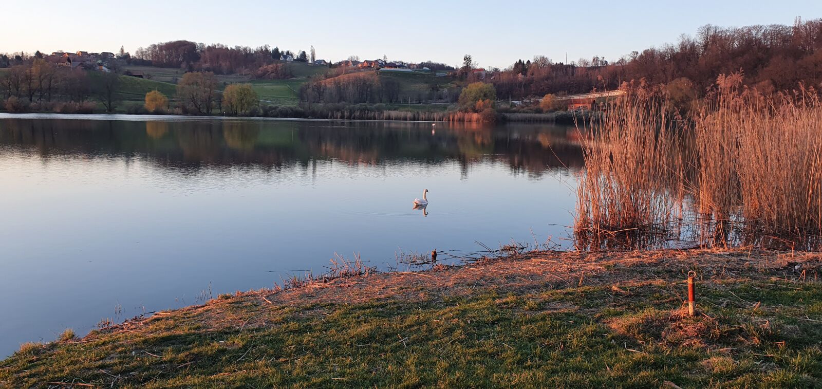Samsung Galaxy S10 sample photo. Spring, nature, lake photography