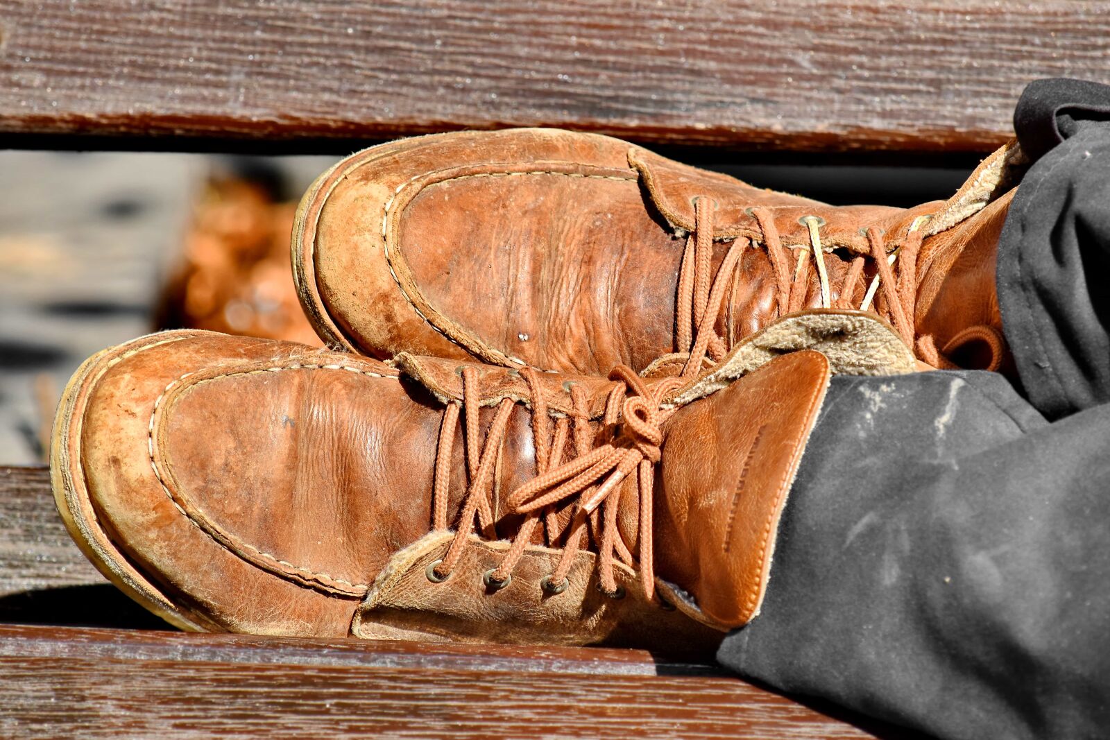 Nikon D5500 sample photo. Leather, shoe, footwear, shoes photography