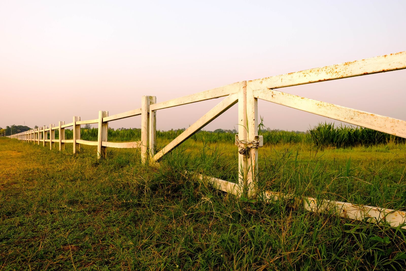 Fujifilm X-A1 sample photo. Fence with green grass photography