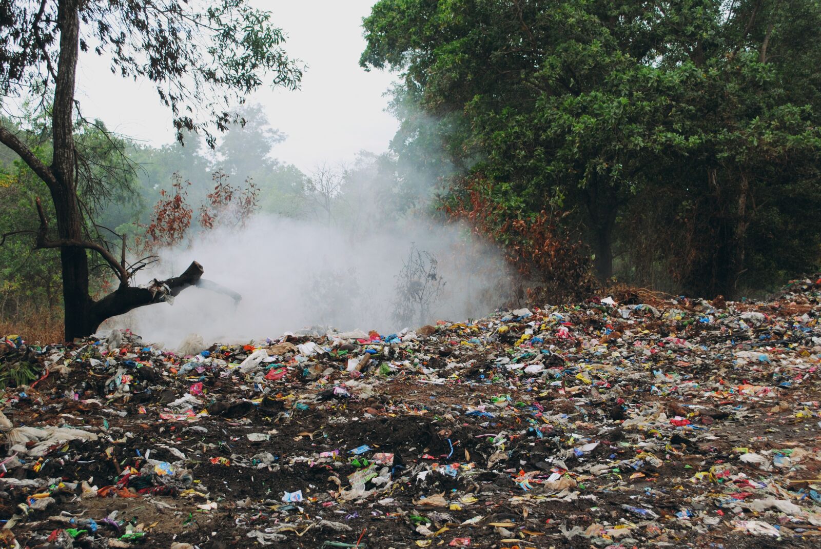 Nikon D3000 sample photo. Garbage, stinky, dump site photography
