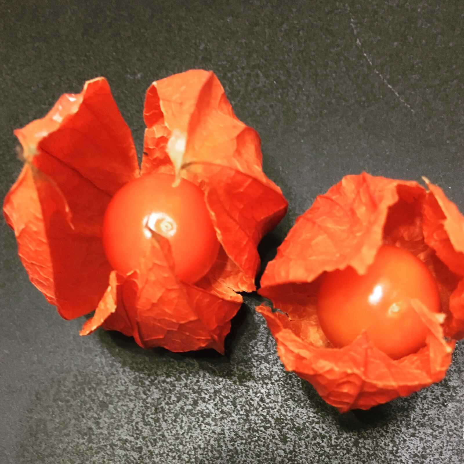 Apple iPhone 6s sample photo. Chinese, lantern, plant photography