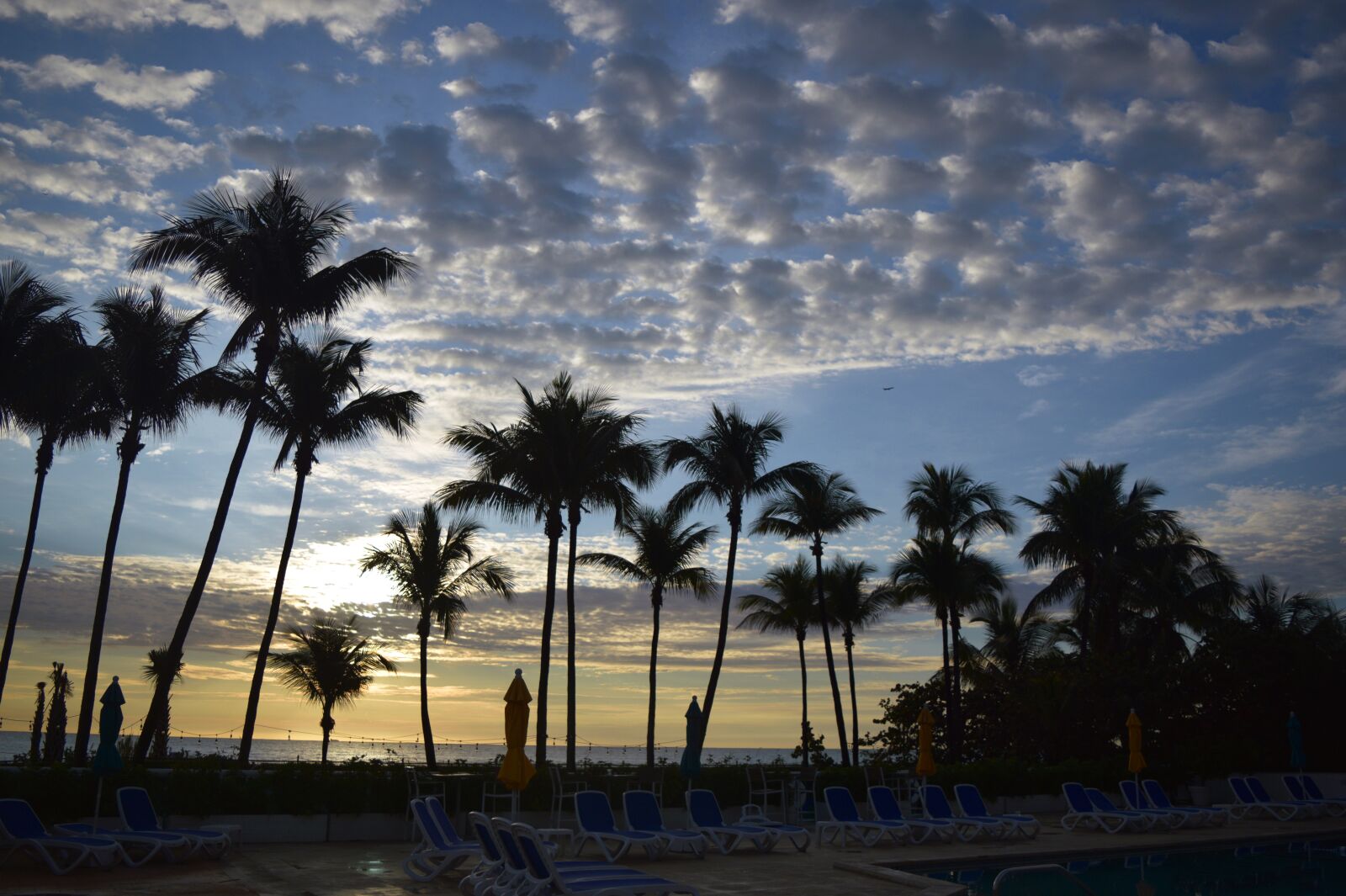 Nikon D3300 sample photo. Palm trees, beach, travel photography
