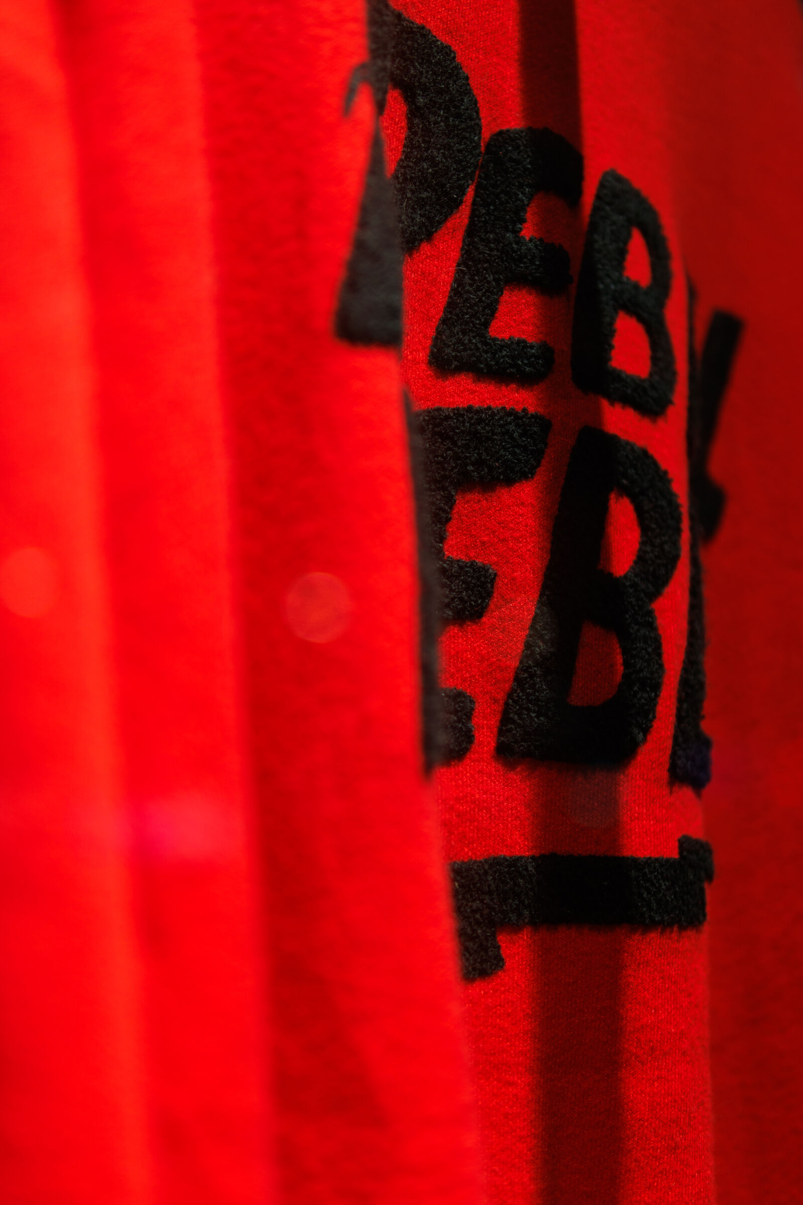 Sigma 30mm F1.4 DC DN | C sample photo. Pebl rebel shirt photography