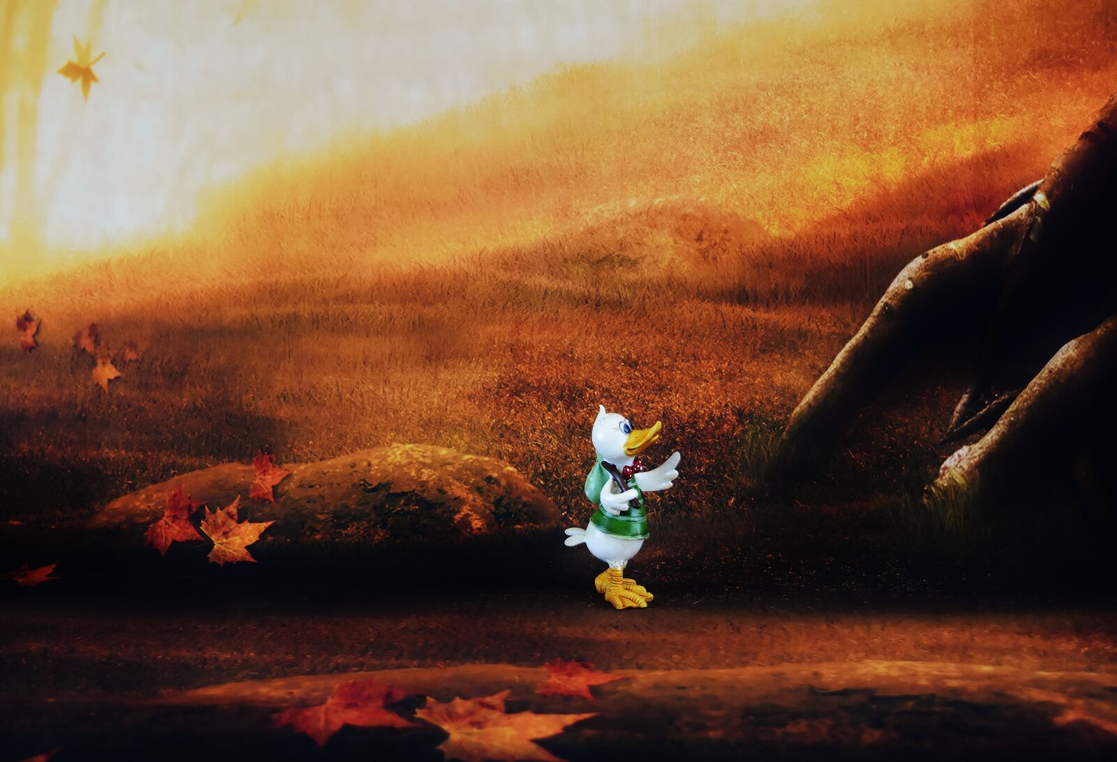 Nikon D7200 sample photo. Duck, travels, figure photography