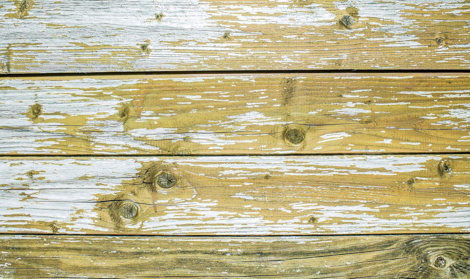 Canon EOS 1100D (EOS Rebel T3 / EOS Kiss X50) sample photo. Background, texture, detail photography