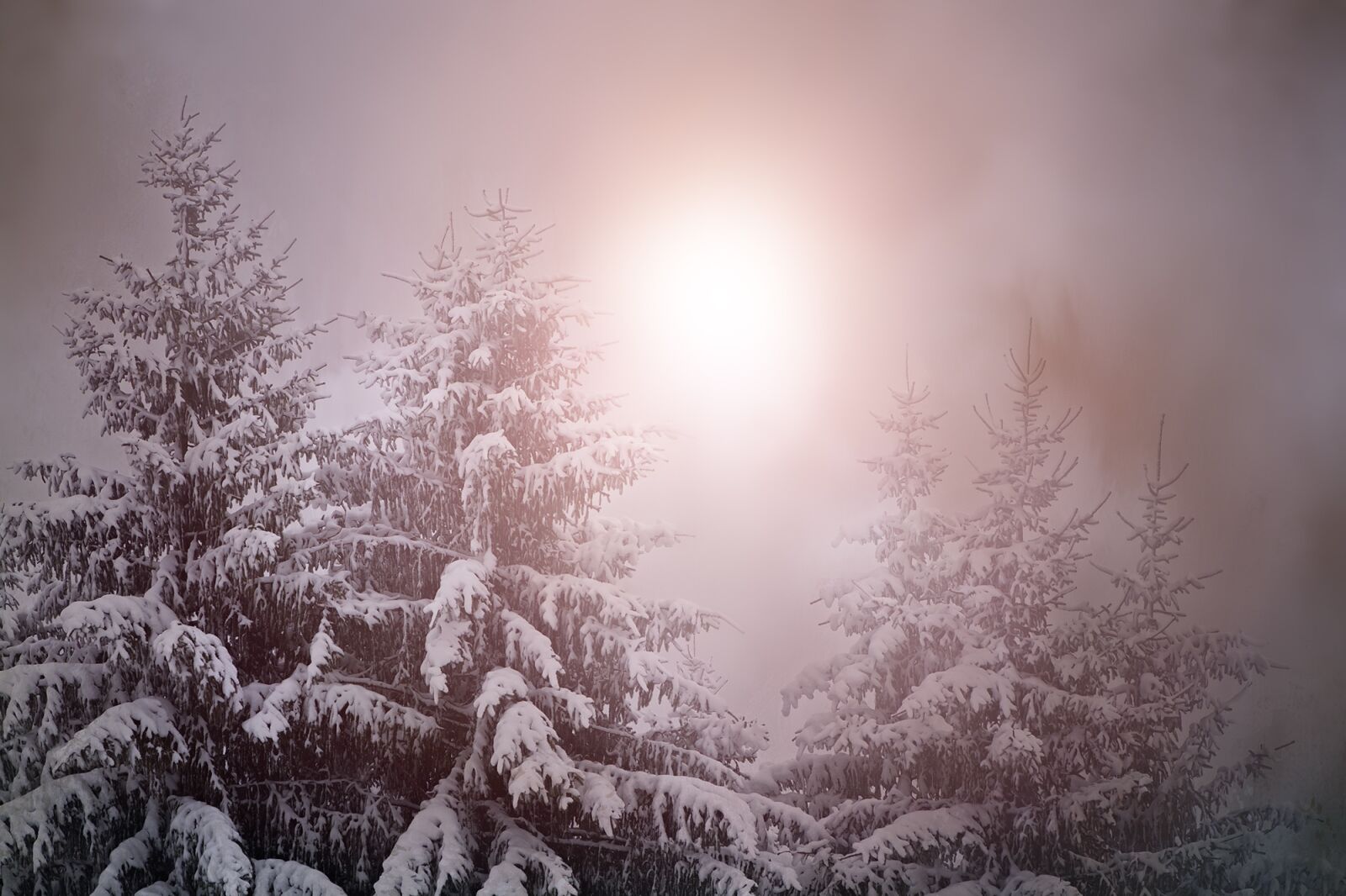 Nikon D7100 sample photo. Wintry, weather mood, light photography