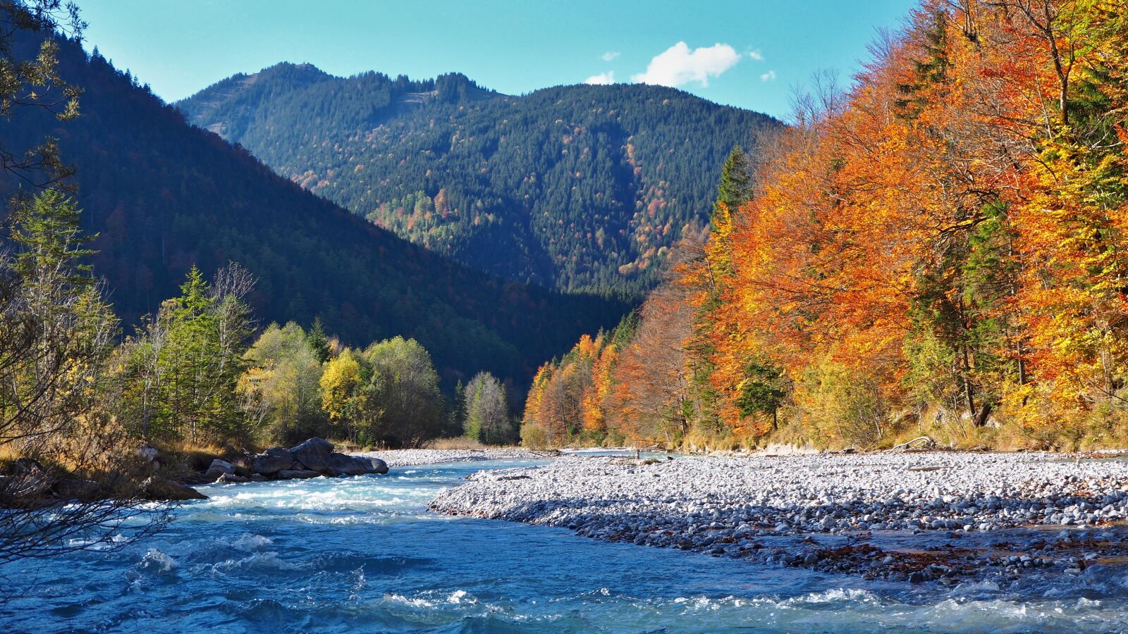 Olympus OM-D E-M10 II sample photo. Nature, landscape, autumn photography
