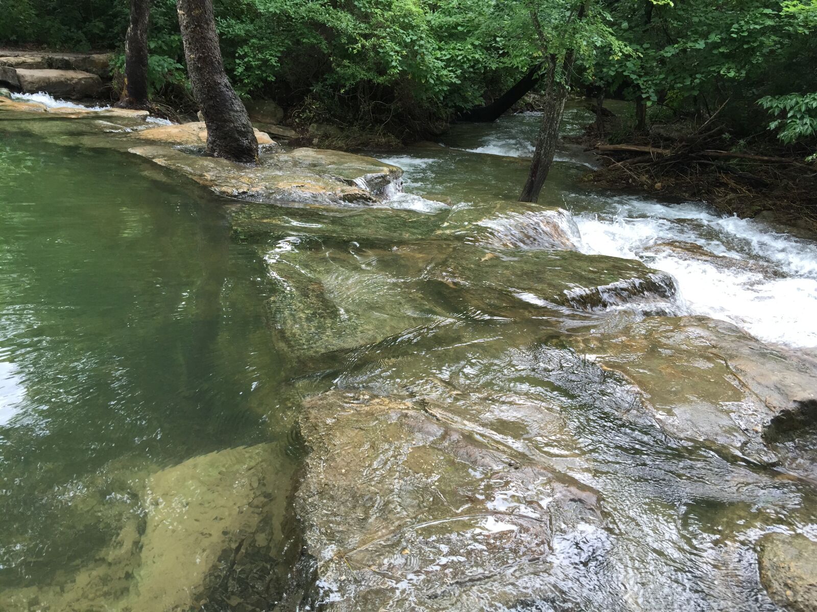 iPhone 6 Plus back camera 4.15mm f/2.2 sample photo. Chickasaw recreation area, stream photography