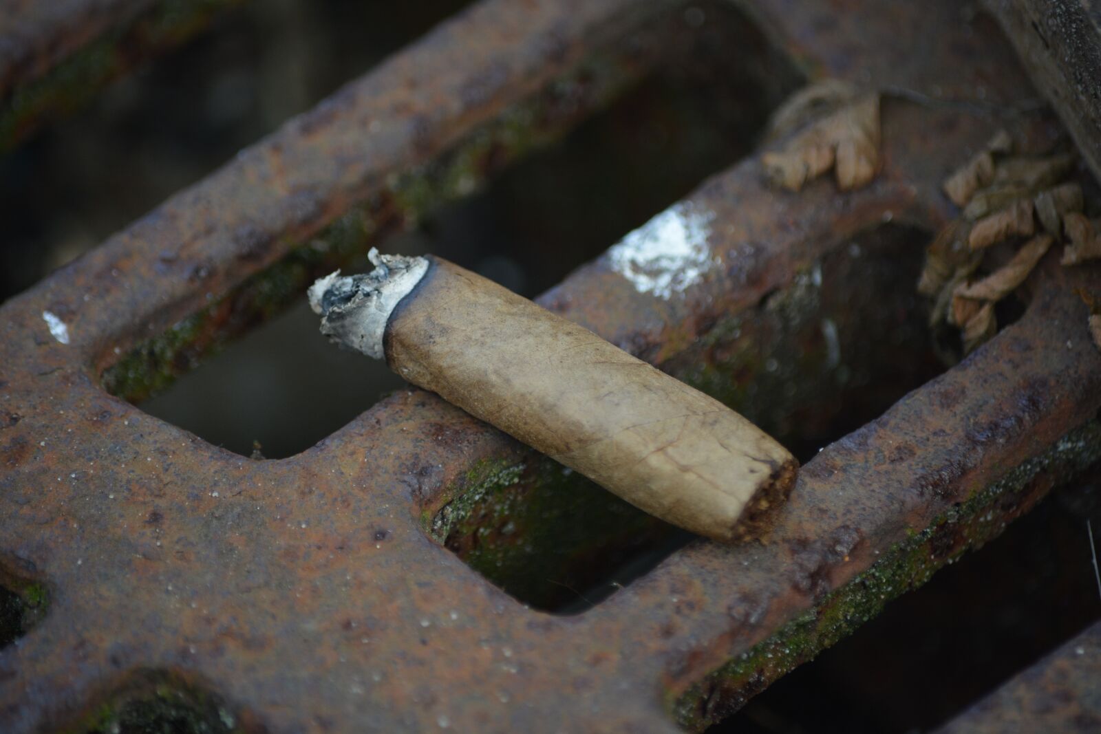 Nikon D7100 sample photo. Emotion, cigar, burned down photography
