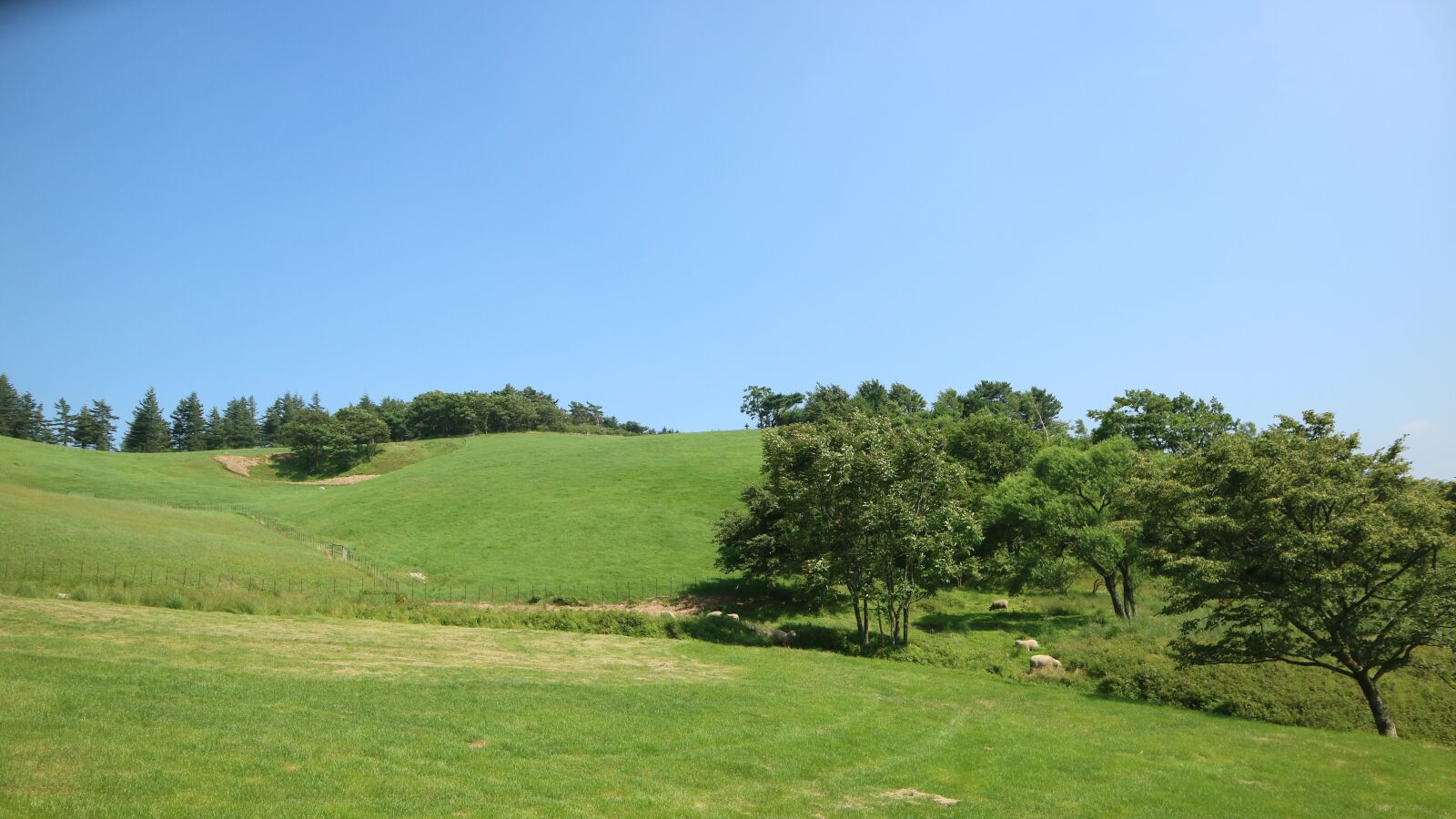 Canon EOS M3 sample photo. Hill, ranch, skyline photography