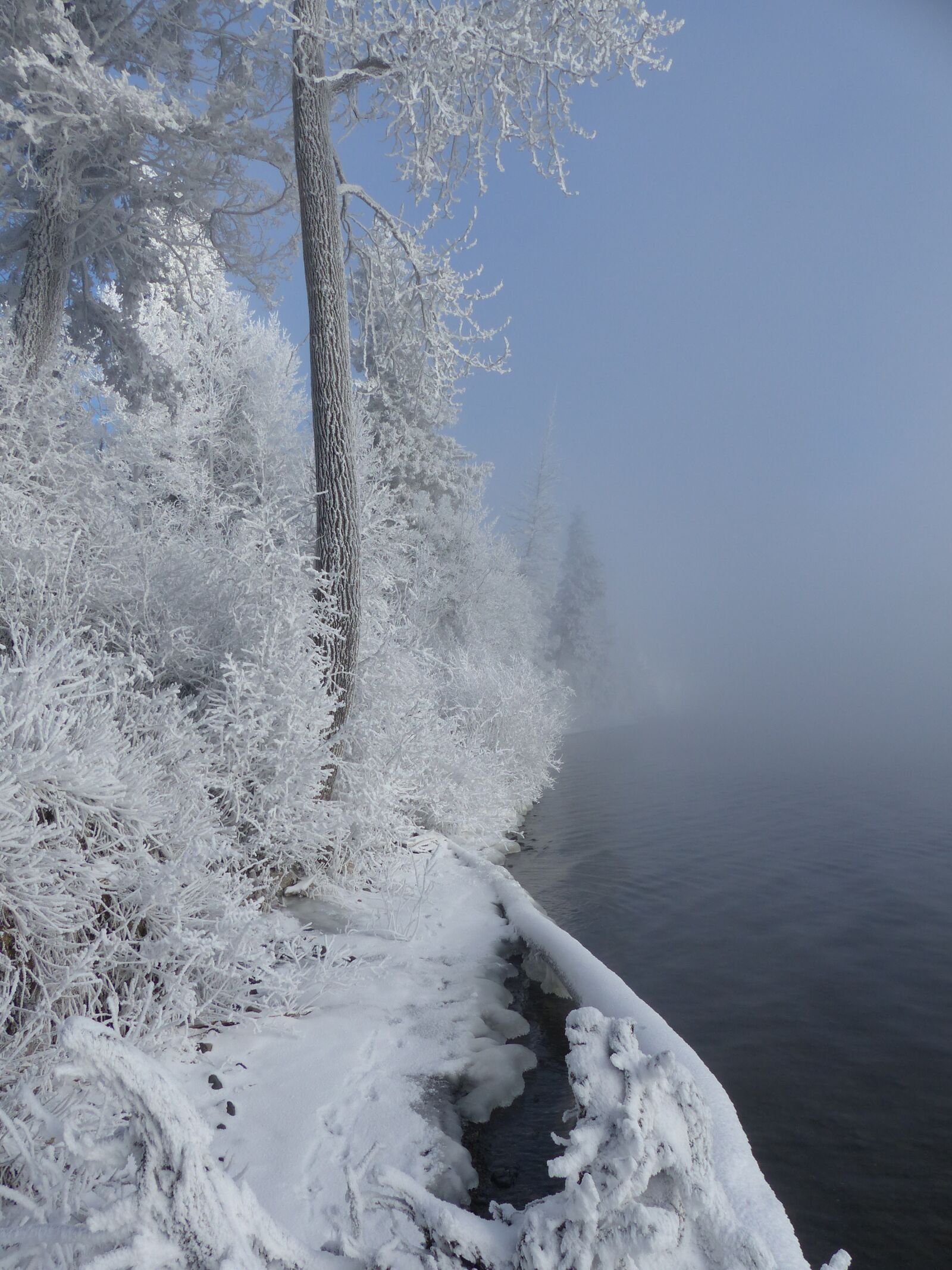 Panasonic Lumix DMC-FZ200 sample photo. Winter, season, snow photography