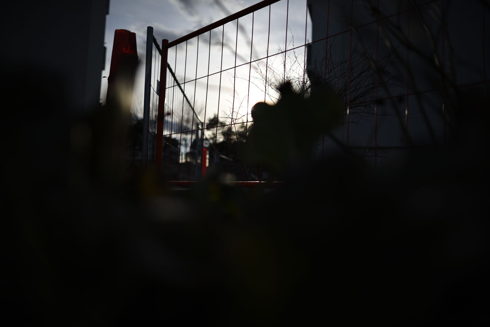 Nikon D810 sample photo. The sunset path fences photography