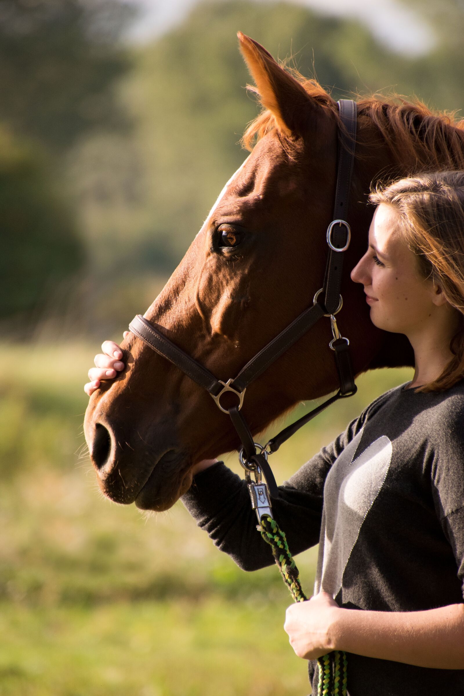 Nikon D3300 sample photo. Cavalry, woman, human photography