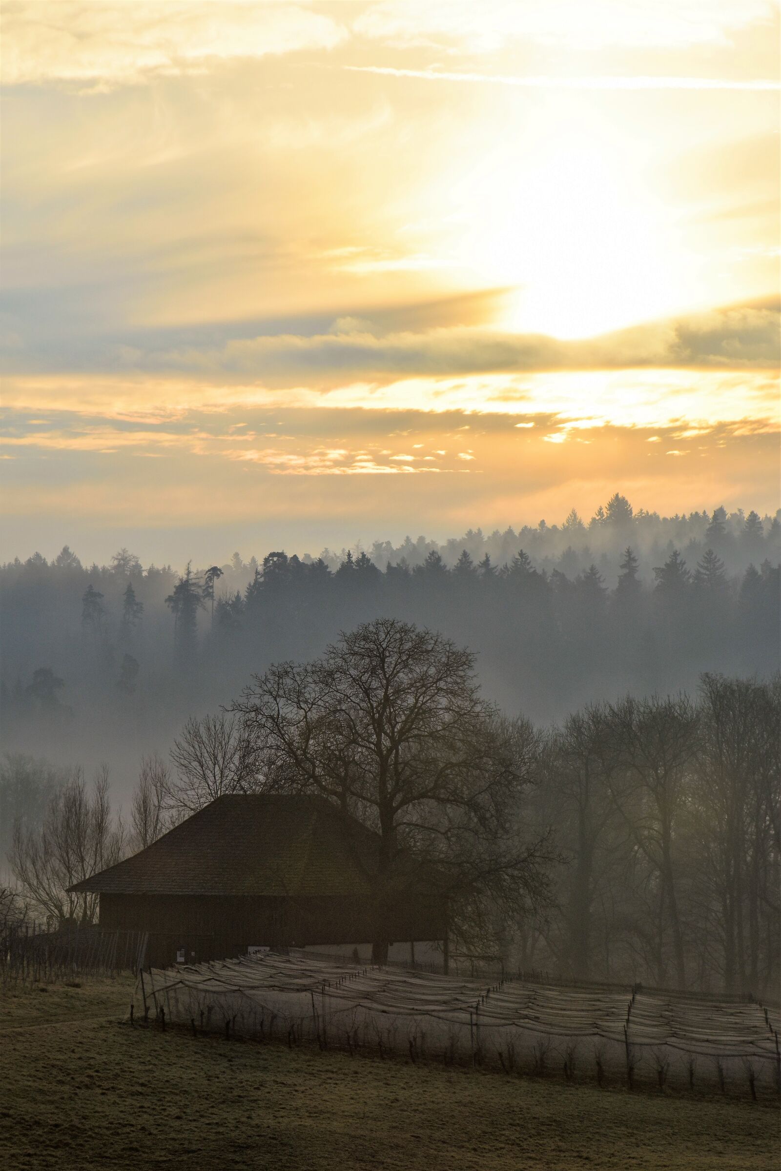 Nikon D5500 sample photo. Landscape, morgenrot, autumn photography
