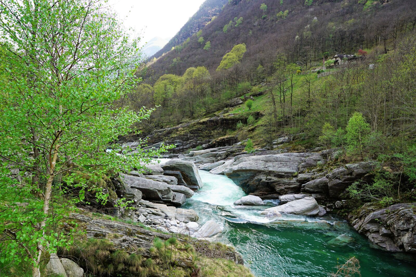 Sony ILCA-77M2 + Sony DT 16-50mm F2.8 SSM sample photo. Lake, ticino, nature photography