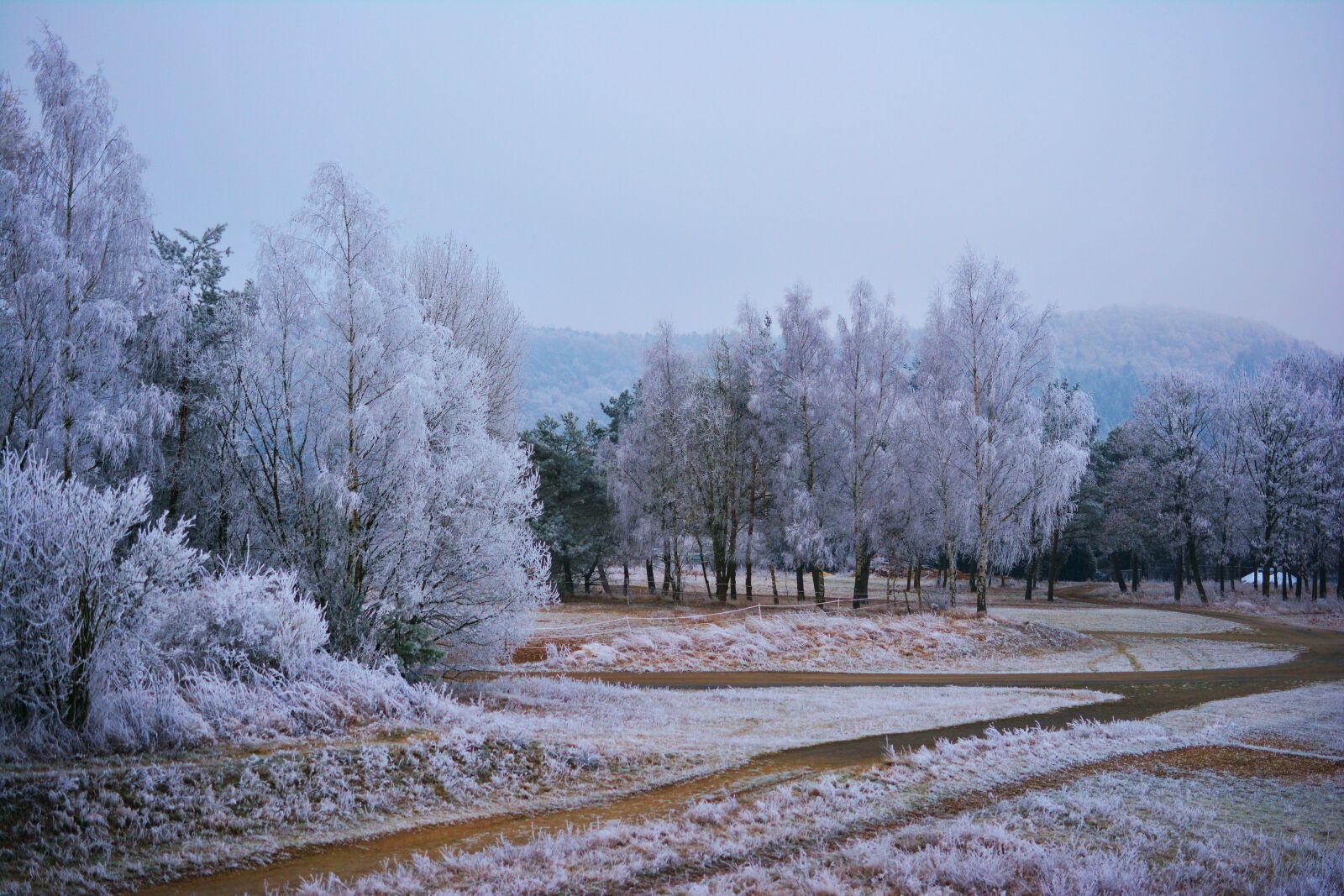 Nikon D5200 sample photo. Winter, hoarfrost, frost photography