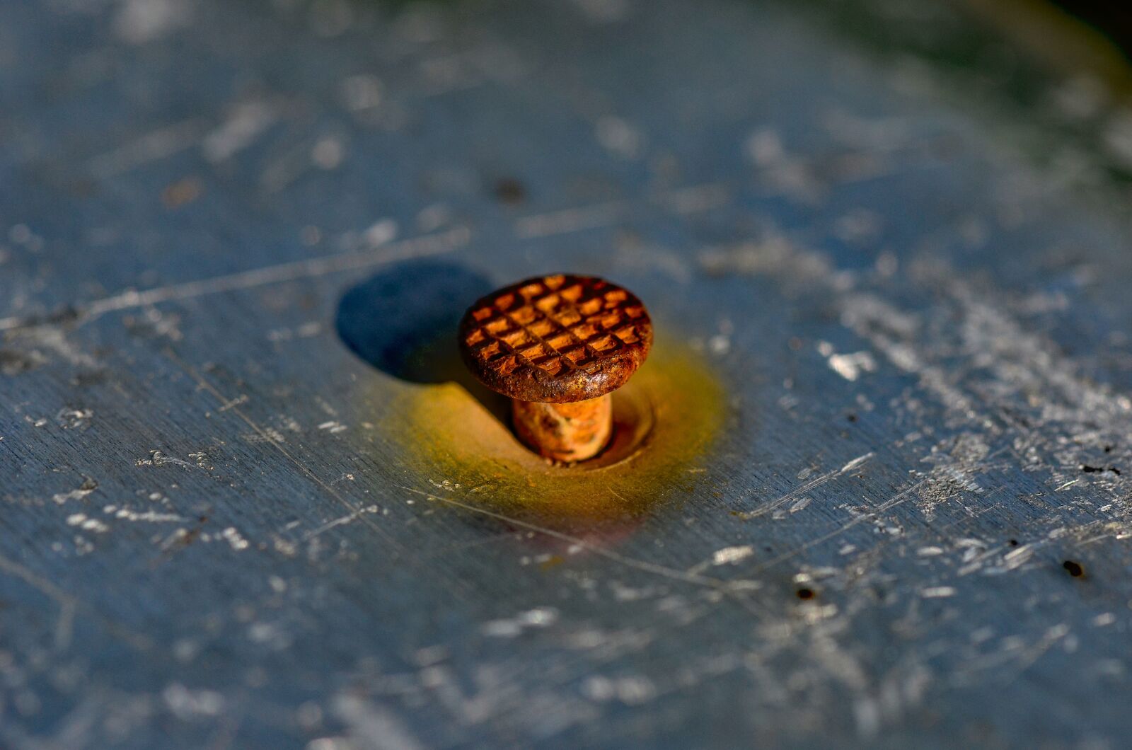 Nikon D7000 sample photo. Nail, sheet, iron photography