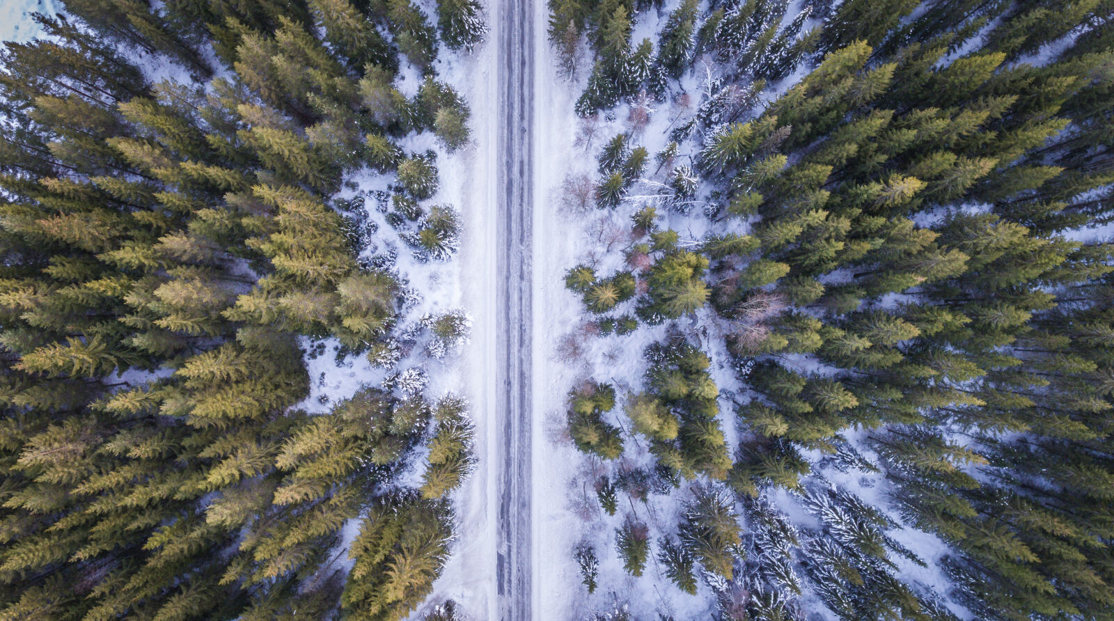 DJI FC330 sample photo. High, angle, view, of photography
