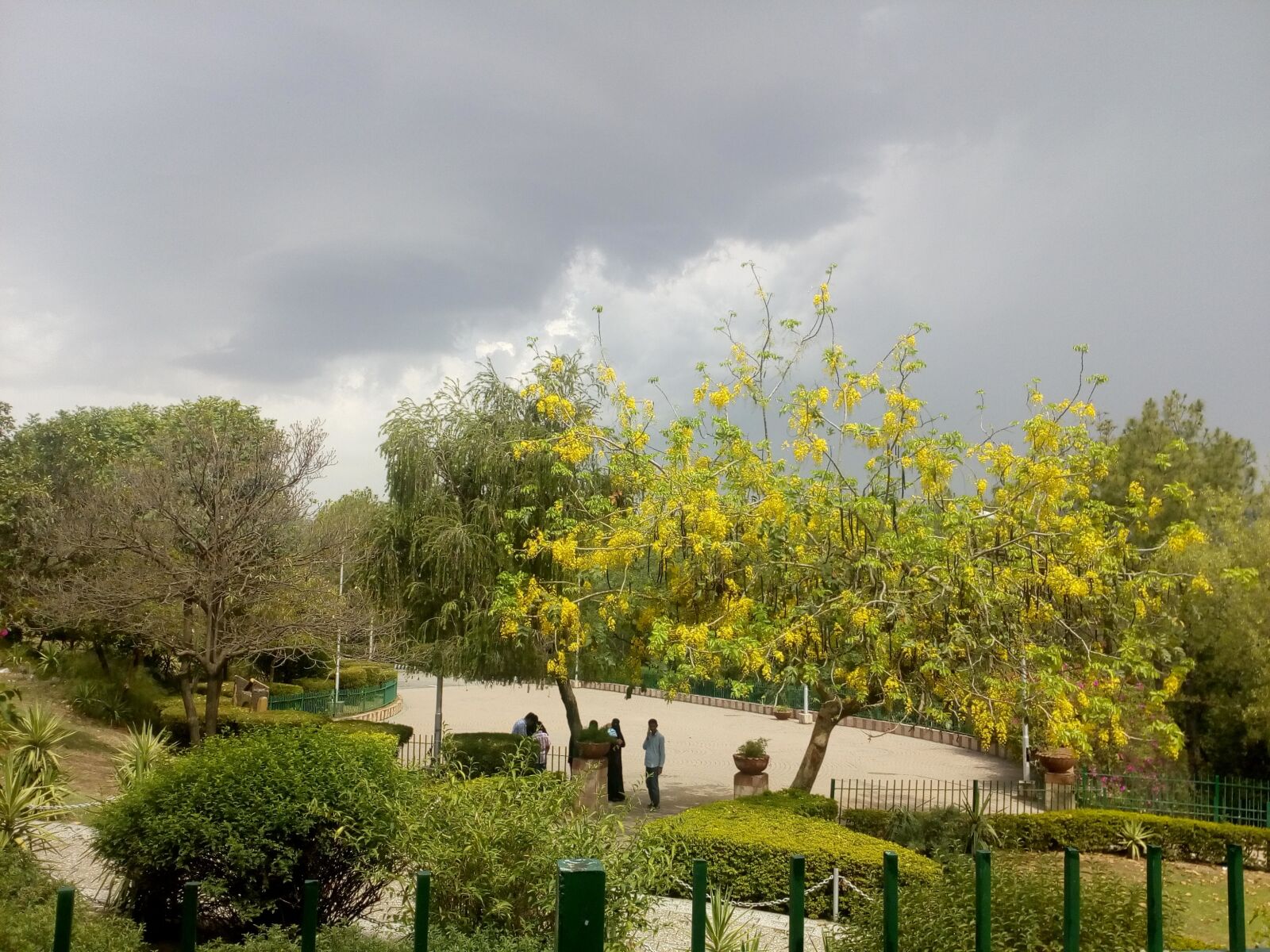 Lenovo VIBE K10 sample photo. Clouds, garden, rainy photography